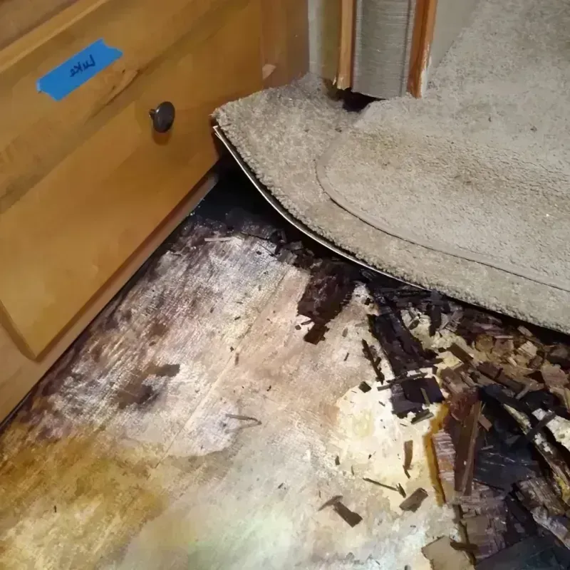 Wood Floor Water Damage in Warsaw, NY